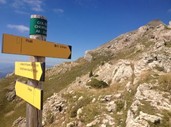 Trail Walking Chorges - Embrunais Le Piolite 2464m - Photo