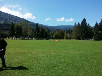 Excursión Otra actividad Arâches-la-Frasse - tête des prés de saix samoens  - Photo