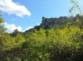 Tour Wandern Peyreleau - Grands Causses - Gorges de la Jonte - Peyreleau - Photo