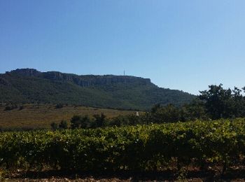 Tour Wandern Vaison-la-Romaine - vaison - Photo