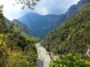 Randonnée Marche La Palud-sur-Verdon - La Palud-sur-Verdon - Sentier des Pêcheurs des Gorges du Verdon - 7.5km 390m 2h45 - 2014 09 16 - Photo