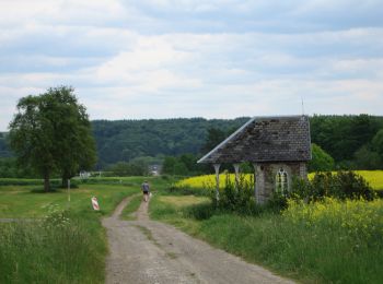 Trail Walking Neupré - Neupré - balade de Rotheux - Photo