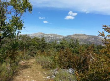 Randonnée Marche La Palud-sur-Verdon - La Palud-sur-Verdon - Tour de la cime de Barbin - 13km 540m 4h15 - 2014 09 22 - Photo