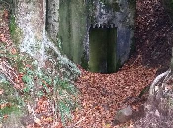 Randonnée Marche Grandfontaine - donon casemates nord - Photo