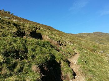 Trail Walking Albepierre-Bredons - Auvergne - Cantal - Le Plomb - Photo