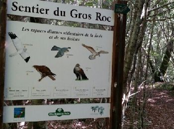 Trail Walking Rivières - circuit du gros fayant - Photo