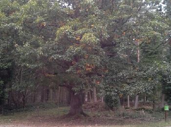 Randonnée Marche Hautot-sur-Seine - hautot sur seine - Photo