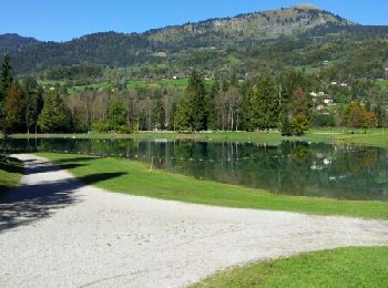 Trail Walking Morillon - Lac bleu au lac Aux dames - Photo