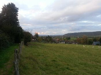 Tocht Stappen Foulbec - Foulbec la Brulette - Photo