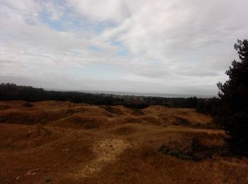 Randonnée Marche Dannes - Boucle Mont Saint Frieux - Photo