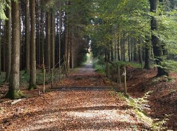 Excursión Bici de montaña Libramont-Chevigny - Séviscourt-Bras-Freux - Photo