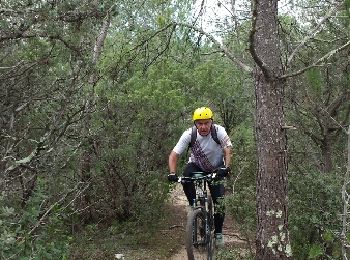 Trail Mountain bike Aubais - Junas avec Guigui - Photo