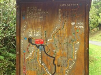 Randonnée Marche Salazie - La Réunion - Boucle dans la forêt de Belouve - Point de vue du Trou de fer - Photo
