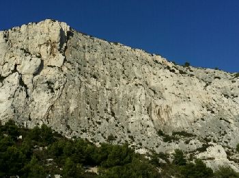 Tour Wandern Marseille - luminy calanque sugiton calanque Morgiou - Photo