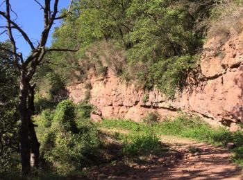Tour Wandern Arboras - Boucle le rocher des 2 vierges par Saint Jean de la Blaquière - Photo