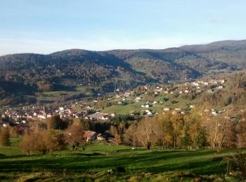 Tour Wandern Saint-Maurice-sur-Moselle - De Saint-Maurice-sur-Moselle au Ballon d'Alsace - Photo