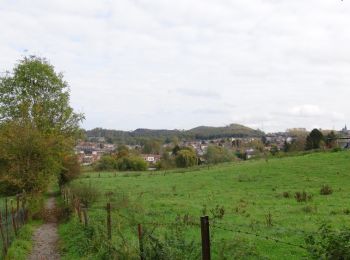 Tocht Stappen Morlanwelz - Le circuit des 3 villages - Morlanwelz - Photo