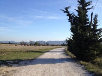 Trail Walking Eyragues - Eyragues 24.10.2014 - Photo