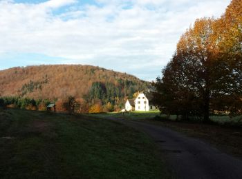 Tour Wandern Hommert - Entre Schaeferhof et Dabo - Photo