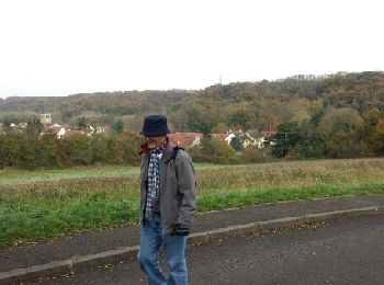 Randonnée Marche Élancourt - Etang de la Boissière 13/11/2014 - Photo