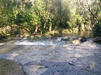 Tour Wandern Biot - biot la brague - Photo