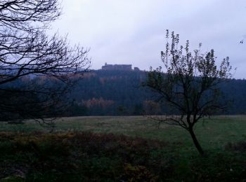 Trail Walking Lembach - Fleckenstein, circuit des 5 châteaux. - Photo