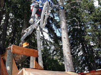 Tocht Mountainbike Crans-Montana - Tour Hauts de Crans - Photo