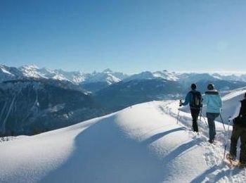 Excursión Raquetas de nieve Crans-Montana - L''Aprili - Photo