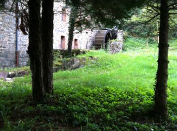 Tour Wandern Saint-Marcel-de-Félines - St Marcel de Félines - Photo