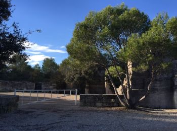 Tour Wandern Saint-Geniès-des-Mourgues - Carrières de Beaulieu - Photo