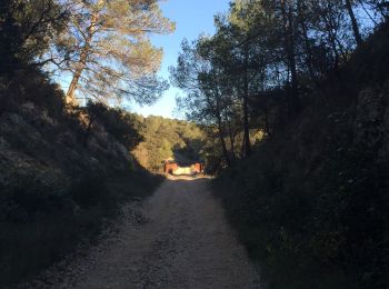 Tour Wandern Aniane - Aniane ruisseau des Corbières - Photo