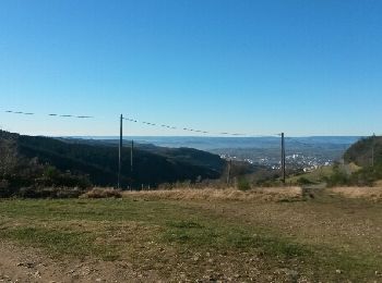 Randonnée Course à pied Saint-Étienne - salvaris sans bitume v0 - Photo