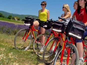 Tour Fahrrad Forcalquier - Le Pays de Forcalquier - Montagne de Lure à vélo - Photo