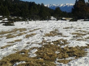 Excursión Raquetas de nieve Caudiès-de-Conflent - caudies de conflent - Photo