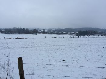 Tocht Andere activiteiten Ferrières - xhoris - Photo