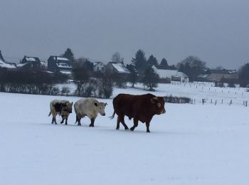 Tocht Andere activiteiten Ferrières - xhoris  - Photo