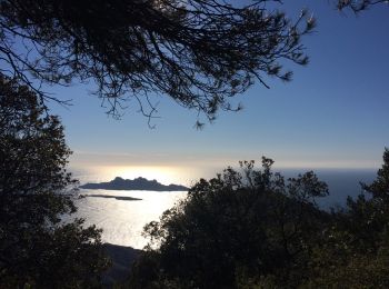 Trail Walking Marseille - biathlon du dimanche  - Photo