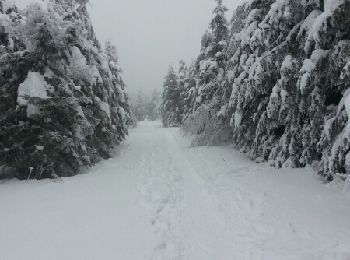 Randonnée Raquettes à neige Léoncel - echaillon - Photo