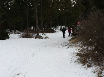 Trail Snowshoes Bolquère - le long de la Têt - Photo