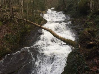 Trail Walking Burlats - le paradis burlats - Photo