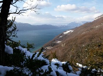 Tocht Stappen Aix-les-Bains - grotte des fées  - Photo