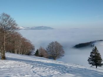 Randonnée Marche Ventron - Chaume des Vintergés et Haut de Felsach - Photo