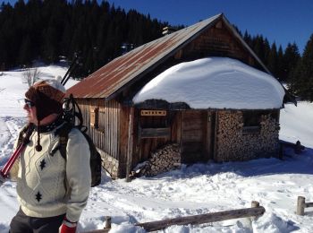 Trail Snowshoes Bellevaux - Alpage de Pététoz - Photo