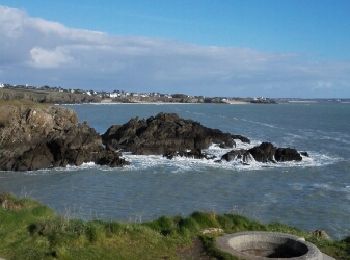 Tour Wandern Clohars-Carnoët - la roche percée clohars carnoet - Photo