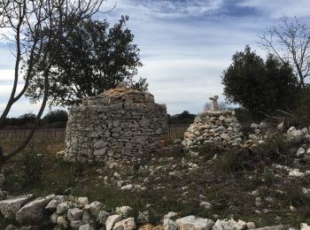 Tour Wandern Saussines - les capitelles de Saussines - Photo