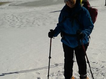 Trail Snowshoes La Llagonne - Route Bouillouse - Jaca den Calvet - Photo