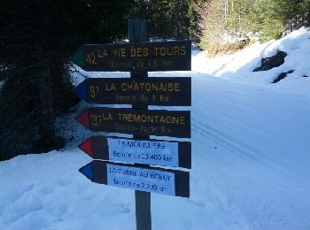 Excursión Raquetas de nieve Nanchez - Prénovel - Les Piards - Photo