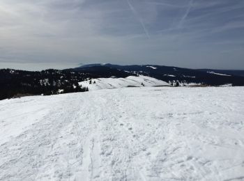 Tour Schneeschuhwandern Gimel - Marchairuz ch. des crêtes  - Photo
