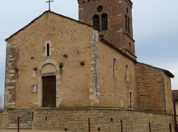 Tour Wandern Monthieux - Étangs Monthieux  - Photo