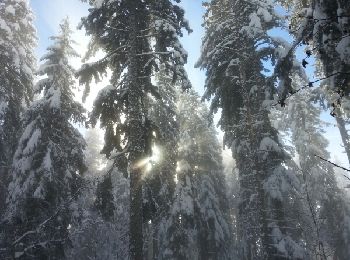 Tour Schneeschuhwandern Autrans-Méaudre en Vercors - bec de l orient raquette - Photo